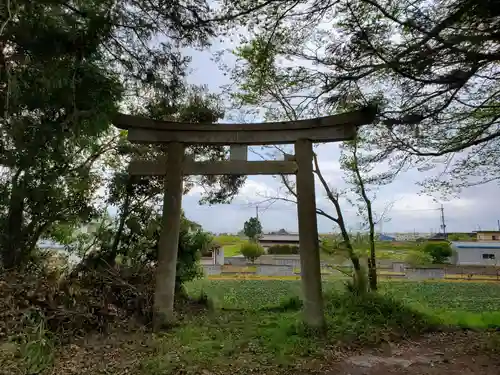 住吉神社の鳥居