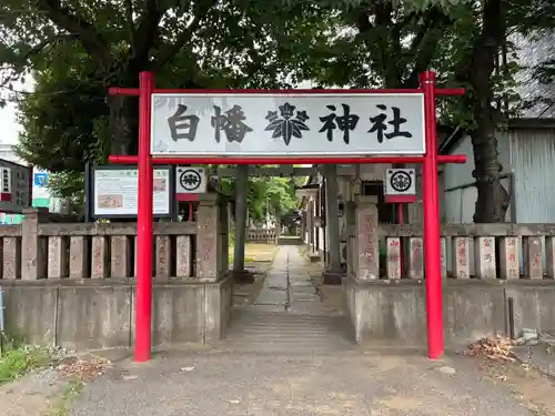 白幡神社(千葉県)