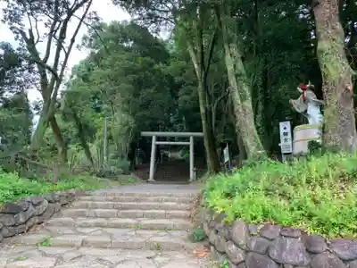 天岩戸神社(宮崎県)