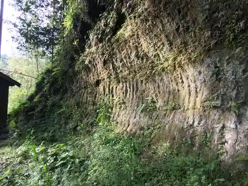 鵜羽神社の自然