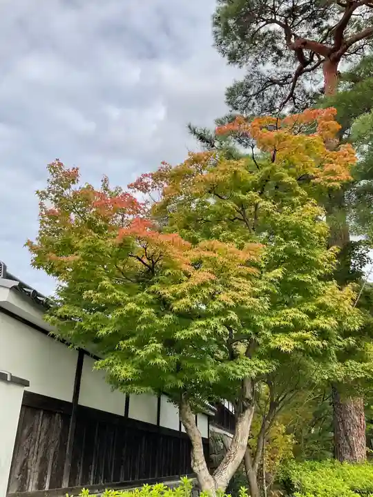禅林寺(永観堂)(京都府)
