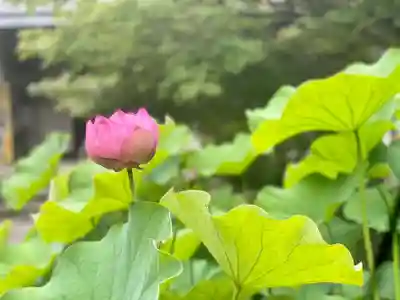 伊勢の国 四天王寺(三重県)