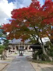 孝勝寺の本殿