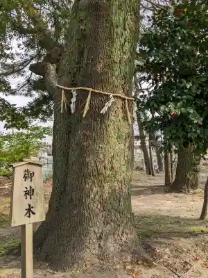 伊福部神社の{uncategorized: "未分類", other: "その他", undefined: "問題あり", building: "その他建物", grave: "お墓", sacred_gate: "鳥居", guardian: "狛犬", statue: "像", buddha: "仏像", history: "歴史", nature: "自然", garden: "庭園", animal: "動物", pagoda: "塔", temizu: "手水舎", mountain_gate: "山門・神門", sanctuary: "本殿・本堂", subordinate: "末社・摂社", art: "芸術", scenery: "景色", jizo: "地蔵", ema: "絵馬", goshuin: "御朱印", omikuji: "おみくじ", items: "授与品その他", amulet: "お守り", goshuincho: "御朱印帳", eats: "食事", festival: "お祭り", votive_dance: "神楽", shichigosan: "七五三参", wedding: "結婚式", experience: "体験その他", initially: "初詣", around: "周辺", anti_infection: "感染症対策"}