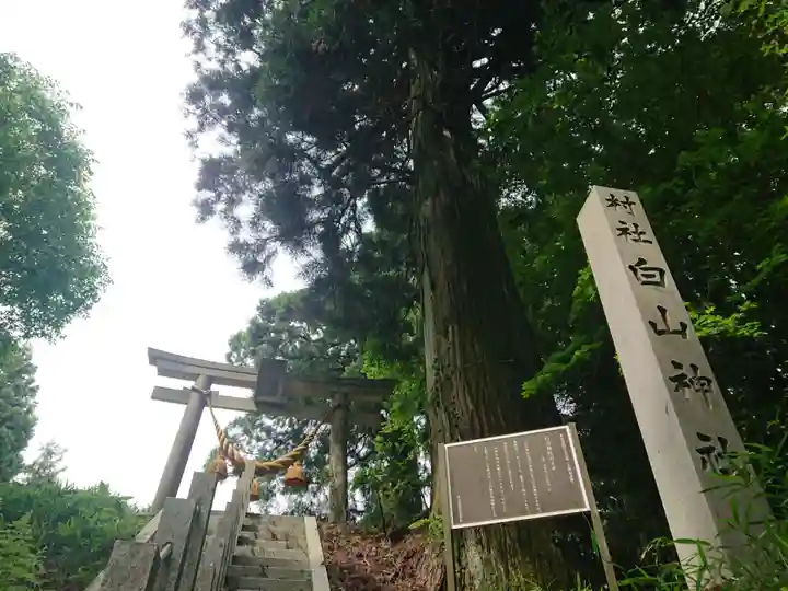 白山神社のその他建物