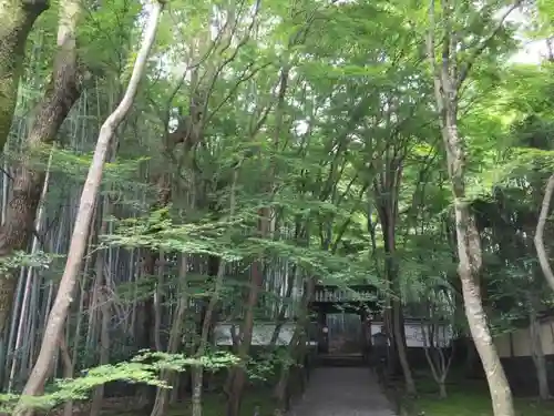 地蔵院のその他建物