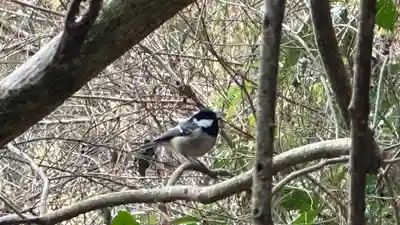 龍口神社(宮城県)