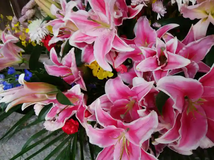 彌彦神社 (伊夜日子神社)の手水舎