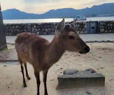 厳島神社(広島県)