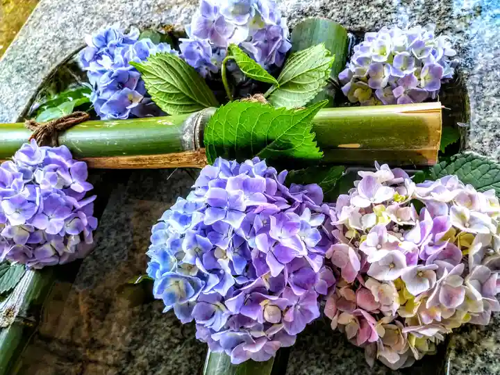 熊野神社の手水舎