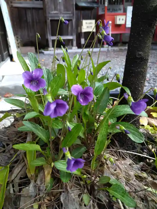 高知八幡宮(高知県)