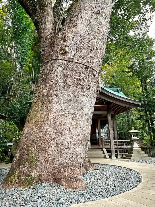 鎮西大社諏訪神社(長崎県)