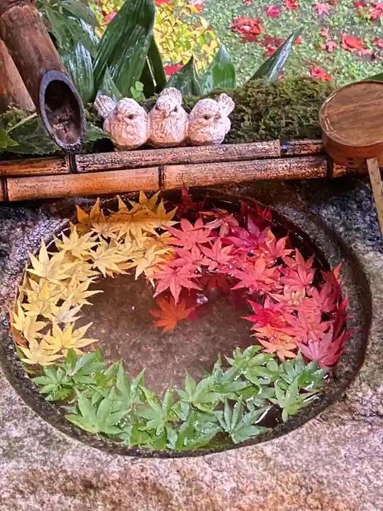 柳谷観音 楊谷寺の手水舎