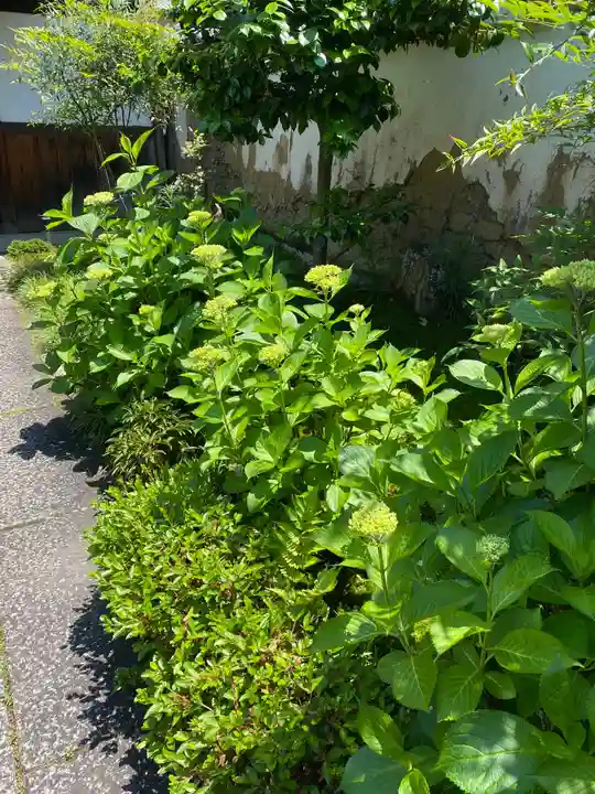 尊陽院(京都府)