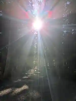 熊野本宮大社(和歌山県)