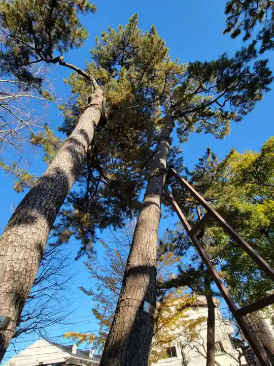 栗原氷川神社の自然