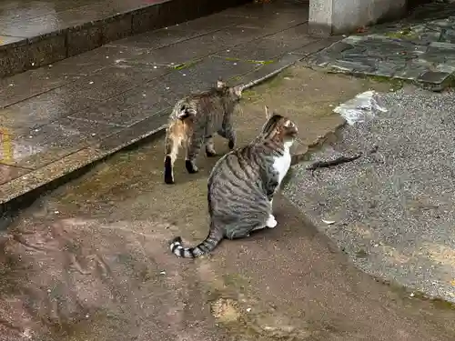 王子神社(徳島県)