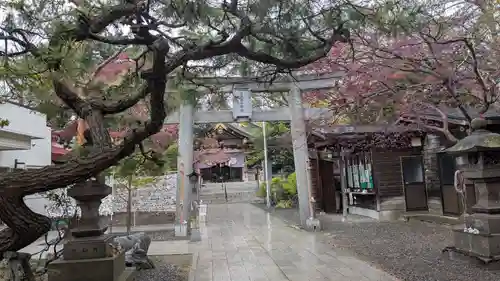 彌彦神社　(伊夜日子神社)の鳥居