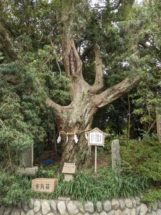 白羽神社の自然