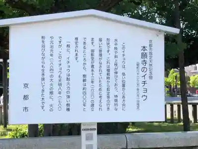 本願寺（西本願寺）(京都府)