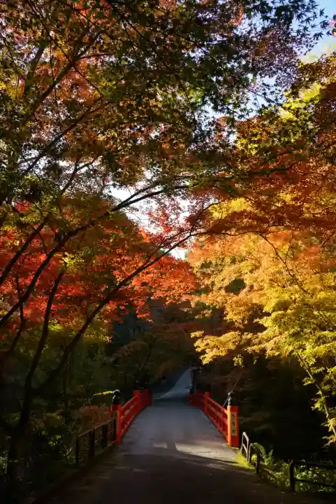 今熊野観音寺(京都府)