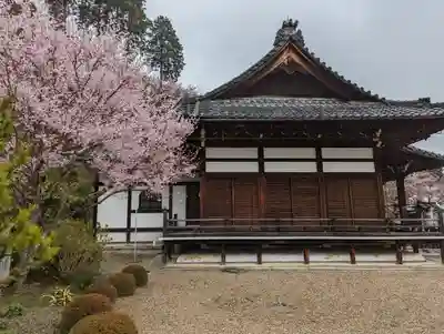 善峯寺(京都府)