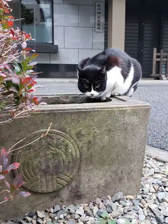 白金氷川神社(東京都)