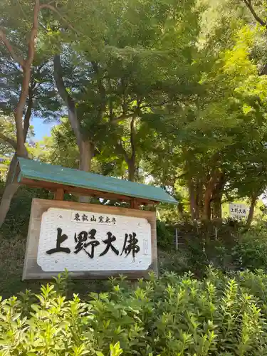 上野大佛(東京都)