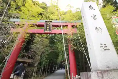 來宮神社(静岡県)