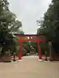 賀茂御祖神社（下鴨神社）(京都府)