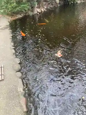 平塚八幡宮(神奈川県)