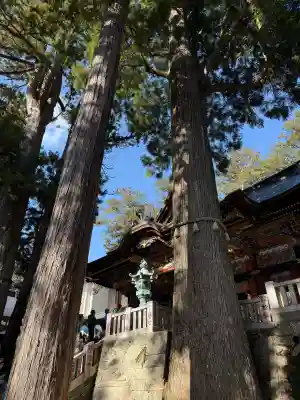 三峯神社の{uncategorized: "未分類", other: "その他", undefined: "問題あり", building: "その他建物", grave: "お墓", sacred_gate: "鳥居", guardian: "狛犬", statue: "像", buddha: "仏像", history: "歴史", nature: "自然", garden: "庭園", animal: "動物", pagoda: "塔", temizu: "手水舎", mountain_gate: "山門・神門", sanctuary: "本殿・本堂", subordinate: "末社・摂社", art: "芸術", scenery: "景色", jizo: "地蔵", ema: "絵馬", goshuin: "御朱印", omikuji: "おみくじ", items: "授与品その他", amulet: "お守り", goshuincho: "御朱印帳", eats: "食事", festival: "お祭り", votive_dance: "神楽", shichigosan: "七五三参", wedding: "結婚式", experience: "体験その他", initially: "初詣", around: "周辺", anti_infection: "感染症対策"}