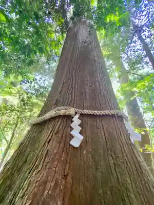 丹生川上神社（中社）(奈良県)
