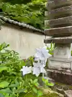 地蔵院(兵庫県)