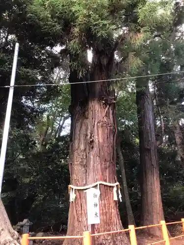 息栖神社の自然
