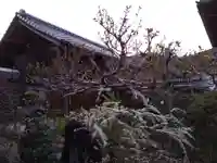 倶梨迦羅神社の自然