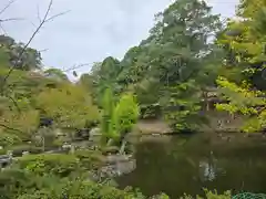 成相寺(京都府)