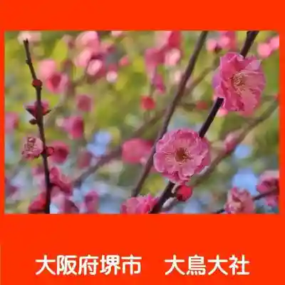 和泉國一之宮　大鳥大社(大阪府)