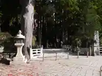 高野山金剛峯寺奥の院(和歌山県)