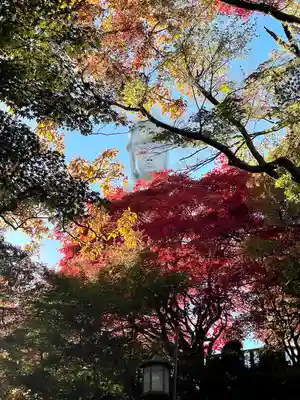 観音山慈眼院(高崎観音)(群馬県)