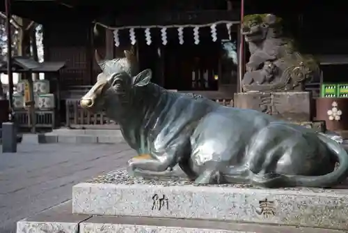 谷保天満宮の狛犬