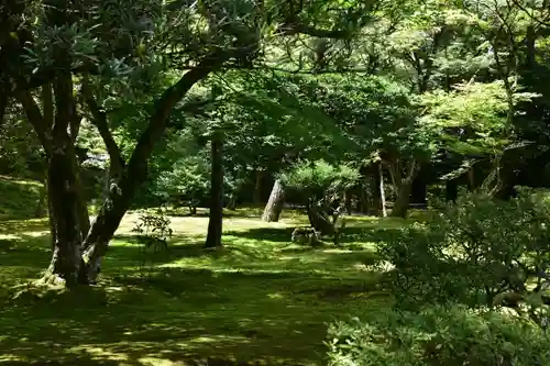 慈照寺（慈照禅寺・銀閣寺）のその他建物