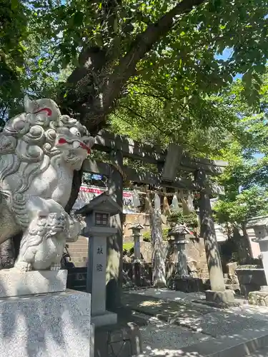 師岡熊野神社の鳥居