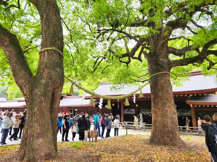明治神宮(東京都)