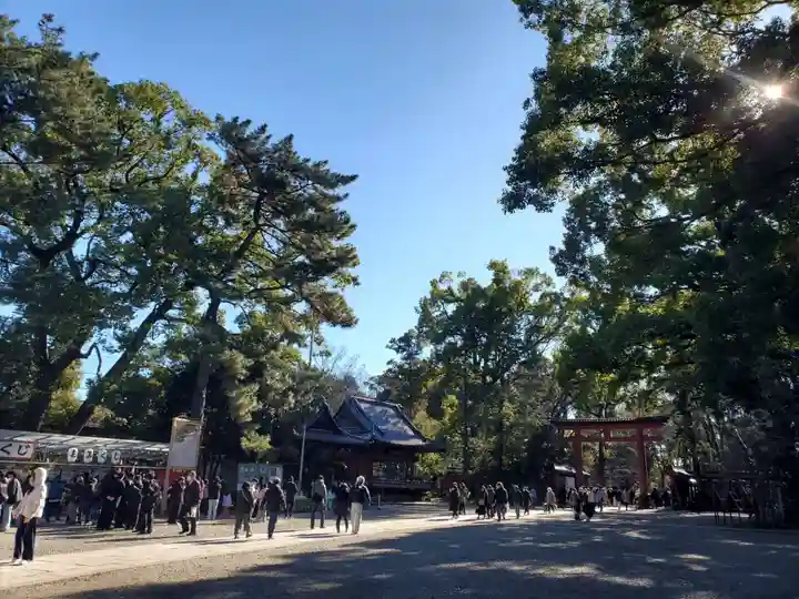 武蔵一宮氷川神社(埼玉県)