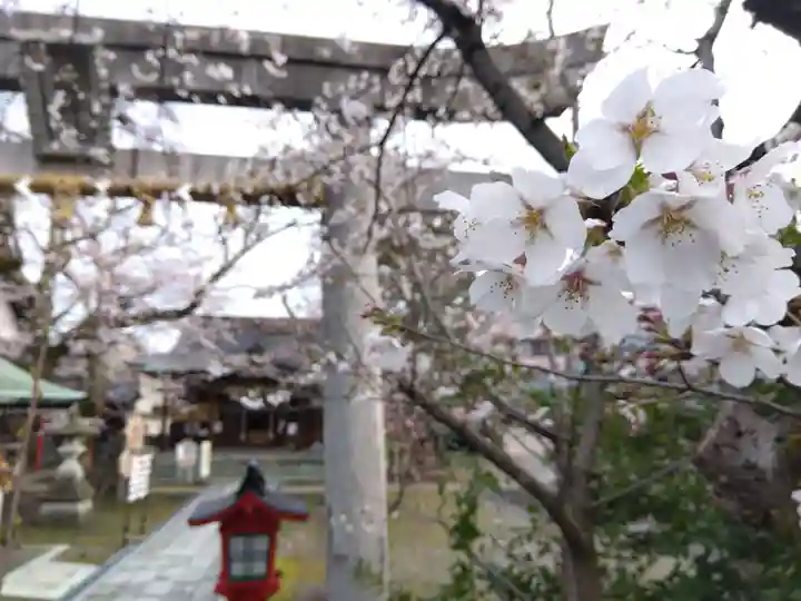 湊八幡神社(福井県)