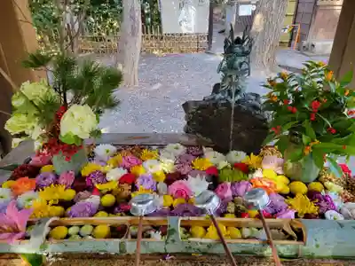 世田谷八幡宮(東京都)