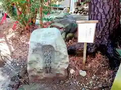 開運招福 飯玉神社(群馬県)