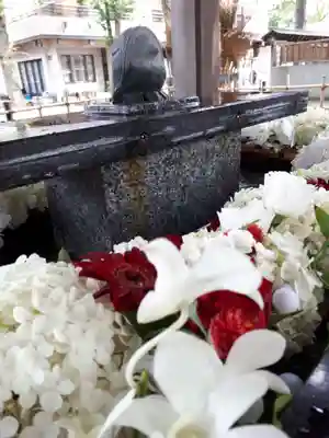 新琴似神社の手水舎