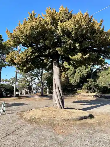 森戸大明神（森戸神社）(神奈川県)